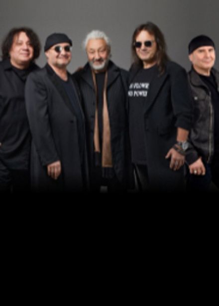 Группа Цветы